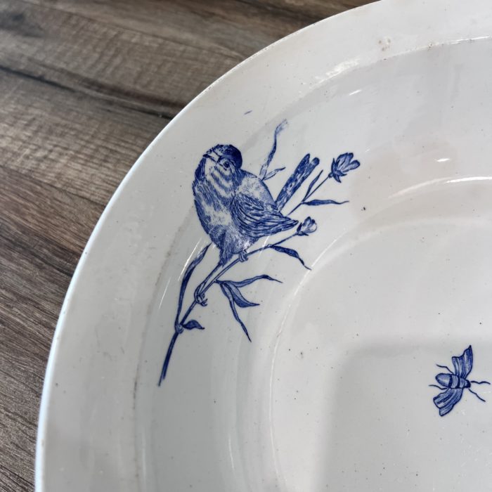 plat oiseaux bleu terre de fer