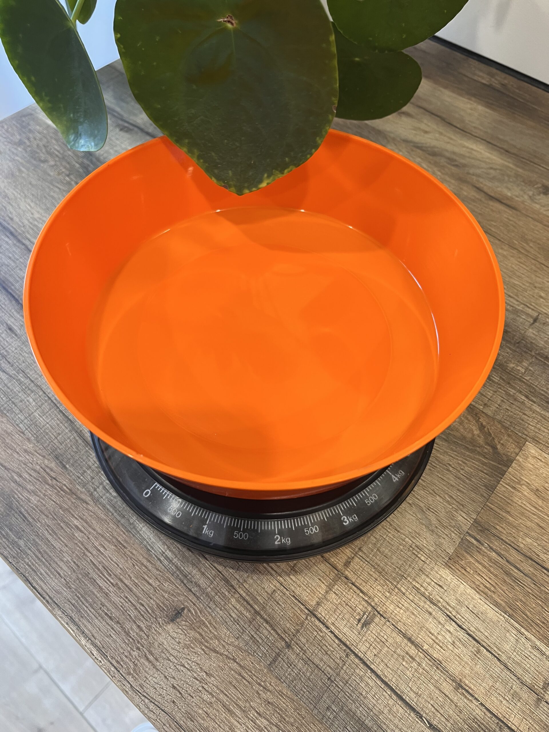 Balance de cuisine vintage Testut – Orange pop années 70 – Image 2